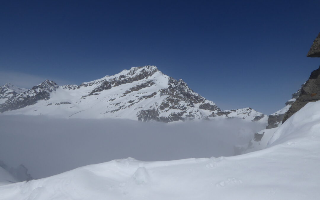 Sci alpinismo – Levanna Orientale (3555m)